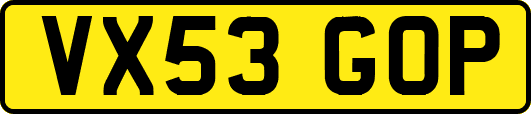 VX53GOP