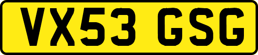 VX53GSG