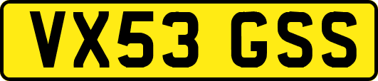 VX53GSS