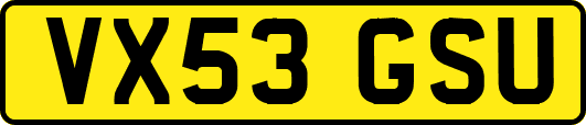 VX53GSU