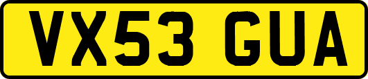 VX53GUA