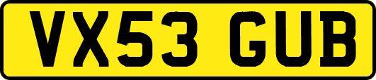 VX53GUB