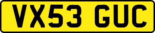VX53GUC