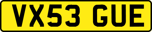 VX53GUE