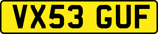 VX53GUF