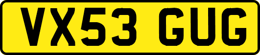VX53GUG