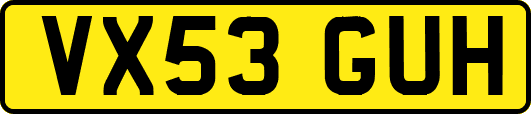 VX53GUH