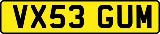 VX53GUM