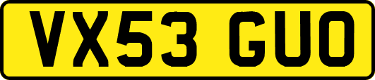 VX53GUO
