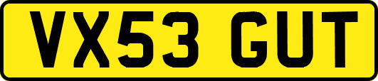 VX53GUT