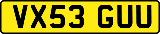 VX53GUU