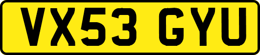 VX53GYU