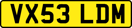 VX53LDM