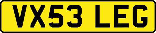 VX53LEG