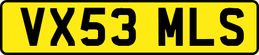 VX53MLS