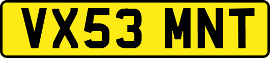 VX53MNT
