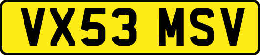 VX53MSV
