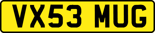 VX53MUG