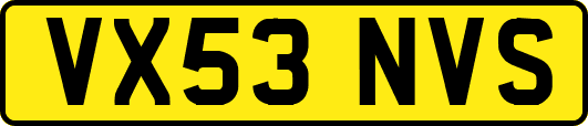 VX53NVS