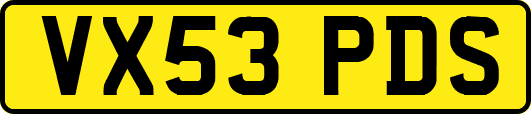 VX53PDS