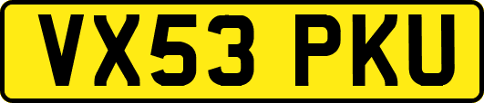 VX53PKU