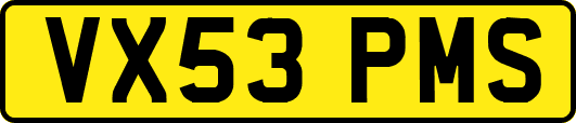 VX53PMS