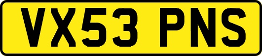 VX53PNS