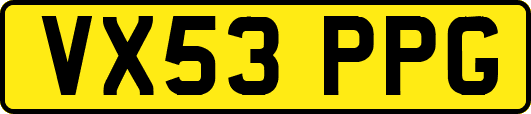 VX53PPG