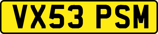 VX53PSM