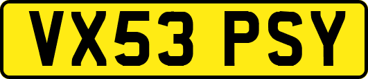 VX53PSY