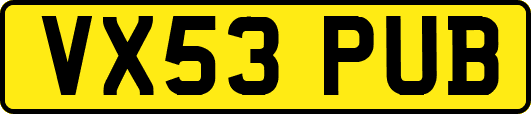 VX53PUB