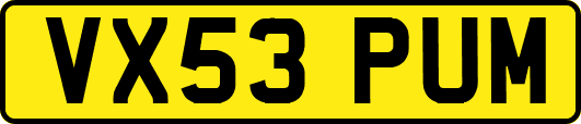 VX53PUM