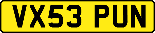 VX53PUN