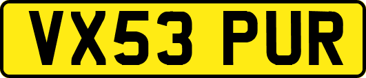 VX53PUR