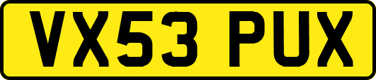 VX53PUX