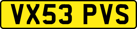 VX53PVS
