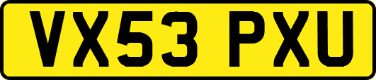 VX53PXU