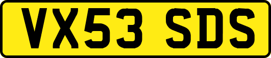 VX53SDS