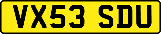 VX53SDU