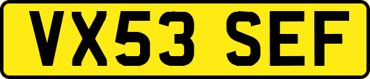 VX53SEF
