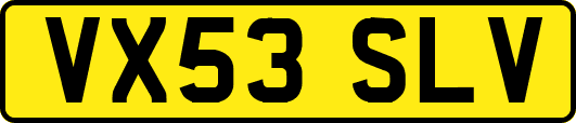 VX53SLV