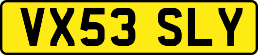 VX53SLY