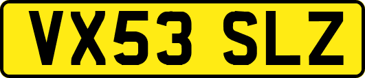 VX53SLZ