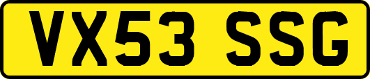 VX53SSG