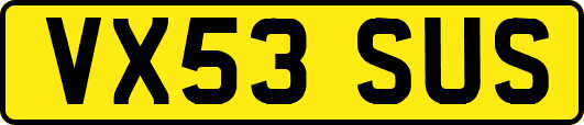 VX53SUS