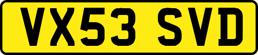 VX53SVD