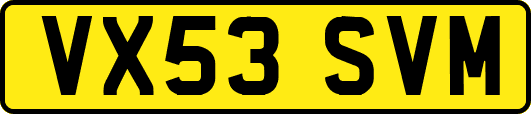 VX53SVM