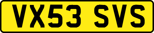 VX53SVS