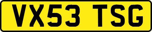VX53TSG