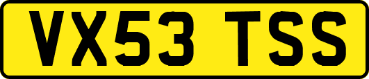 VX53TSS